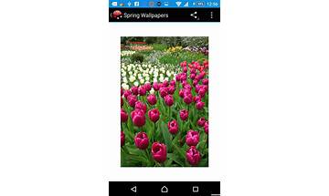 My Spring Look for Android - Download the APK from Habererciyes